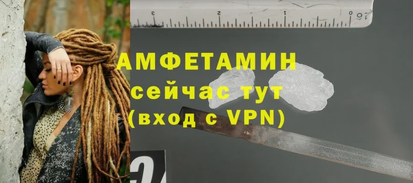 прущие грибы Богородицк