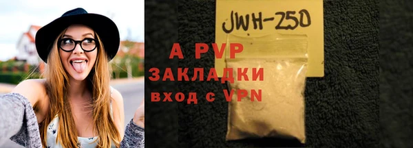 прущие грибы Богородицк
