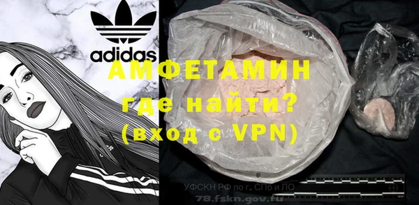 прущие грибы Богородицк