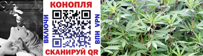 МАРИХУАНА планчик  продажа наркотиков  Буинск 